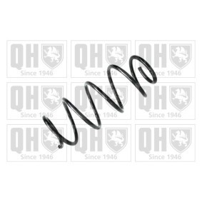 Acquista Molle ammortizzatori da QUINTON HAZELL QCS8130 a buon mercato per soli 71,53 €