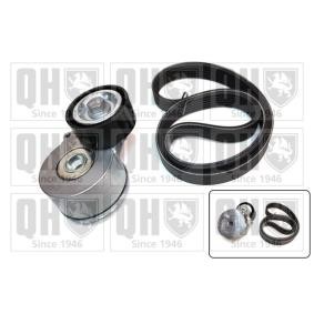 Acquista Kit Cinghie Poly-V da QUINTON HAZELL QDK80 a buon mercato per soli 60,65 €