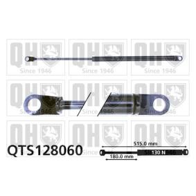 Heckklappendämpfer QTS128060