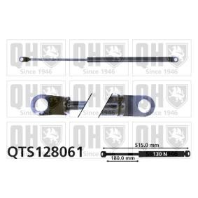 Heckklappendämpfer QTS128061