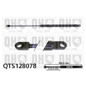 Motorhaubendämpfer QTS128078