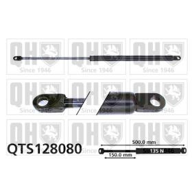 Heckklappendämpfer QTS128080