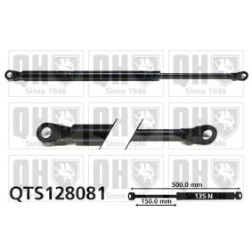 Heckklappendämpfer QTS128081
