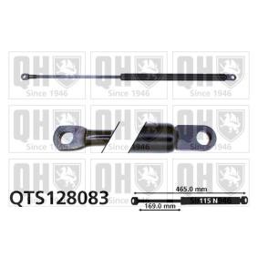 Heckklappendämpfer QTS128083