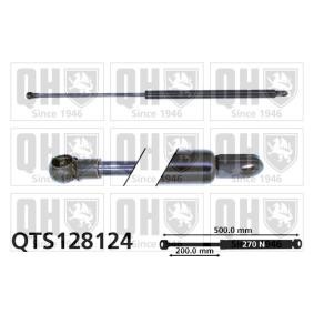 Achetez des Vérin de coffre QUINTON HAZELL QTS128124 à prix pour 33,89 €