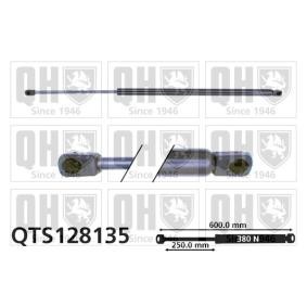 Heckklappendämpfer QTS128135