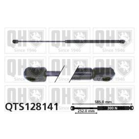 Heckklappendämpfer QTS128141