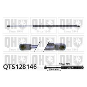 Heckklappendämpfer QTS128146