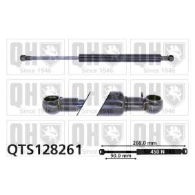 Heckklappendämpfer QTS128261