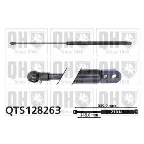 Heckklappendämpfer QTS128263