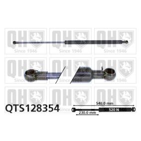 Heckklappendämpfer QTS128354