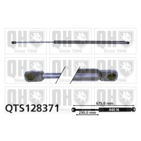 Heckklappendämpfer QTS128371