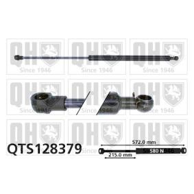 Heckklappendämpfer QTS128379