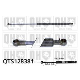 Heckklappendämpfer QTS128381