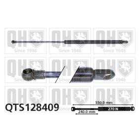 Heckklappendämpfer QTS128409