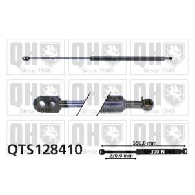 Heckklappendämpfer QTS128410