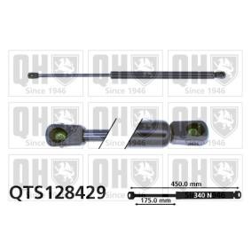 Heckklappendämpfer QTS128429