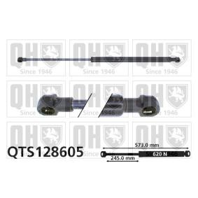 Heckklappendämpfer QTS128605