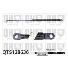 Heckklappendämpfer QTS128636