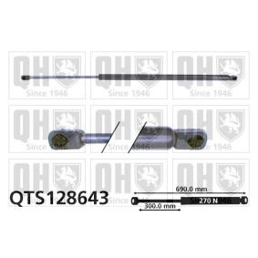 Compre Maletero de QUINTON HAZELL online para SUPER 5 (B/C40_) a precios moderados