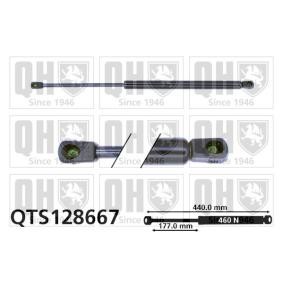 Achetez des Vérin de coffre QUINTON HAZELL QTS128667 à prix pour 22,50 €