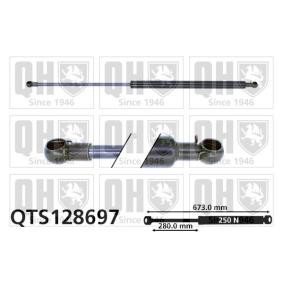 Motorhaubendämpfer QTS128697