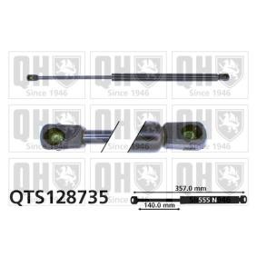 Heckklappendämpfer QTS128735