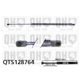Motorhaubendämpfer QTS128764