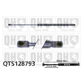 Achetez des Vérin de coffre QUINTON HAZELL QTS128793 à prix pour 28,65 €