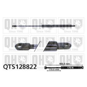 Heckklappendämpfer QTS128822