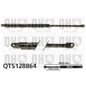 Heckklappendämpfer QTS128864