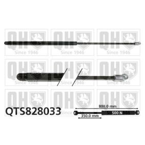 Heckklappendämpfer QTS828033
