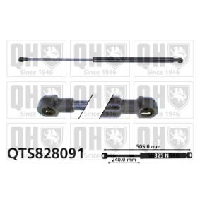 Heckklappendämpfer QTS828091