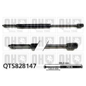 Motorhaubendämpfer QTS828147