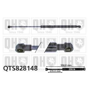 Heckklappendämpfer QTS828148