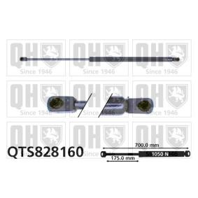 Heckklappendämpfer QTS828160