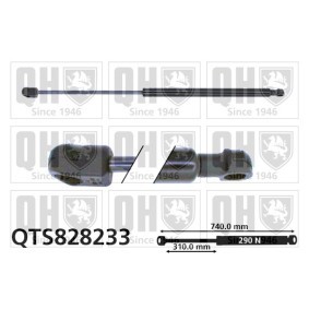 Motorhaubendämpfer QTS828233
