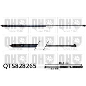 Heckklappendämpfer QTS828265