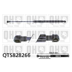 Heckklappendämpfer QTS828266