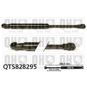 Heckklappendämpfer QTS828295