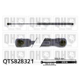 Heckklappendämpfer QTS828321