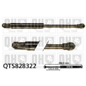 Heckklappendämpfer QTS828322