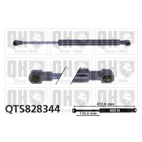 Heckklappendämpfer QTS828344