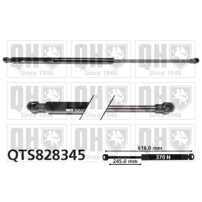 Heckklappendämpfer QTS828345