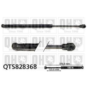 Heckklappendämpfer QTS828368