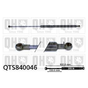 Heckklappendämpfer QTS840046
