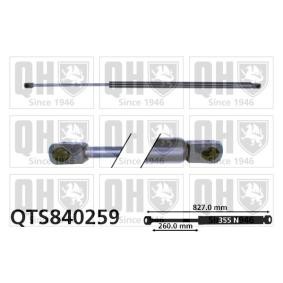 Heckklappendämpfer QTS840259