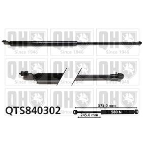 Heckklappendämpfer QTS840302