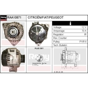 Lichtmaschine RAA10871 von DELCO REMY günstig für 144,39 € online kaufen
