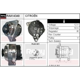 Lichtmaschine RAA14349 von DELCO REMY günstig für 144,39 € online kaufen